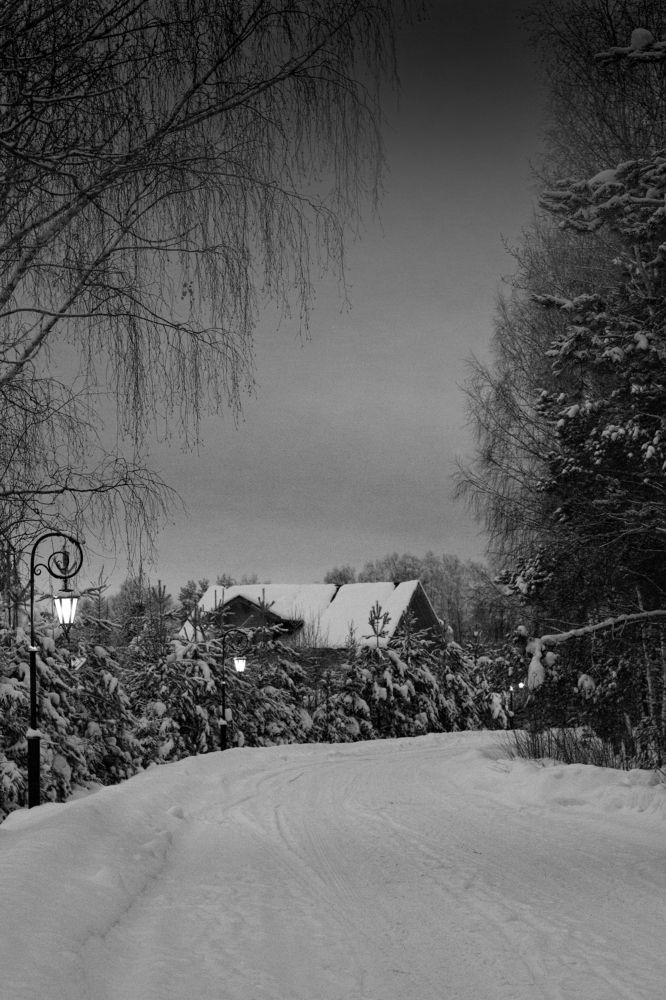 Photograph by Мария Иваницкая