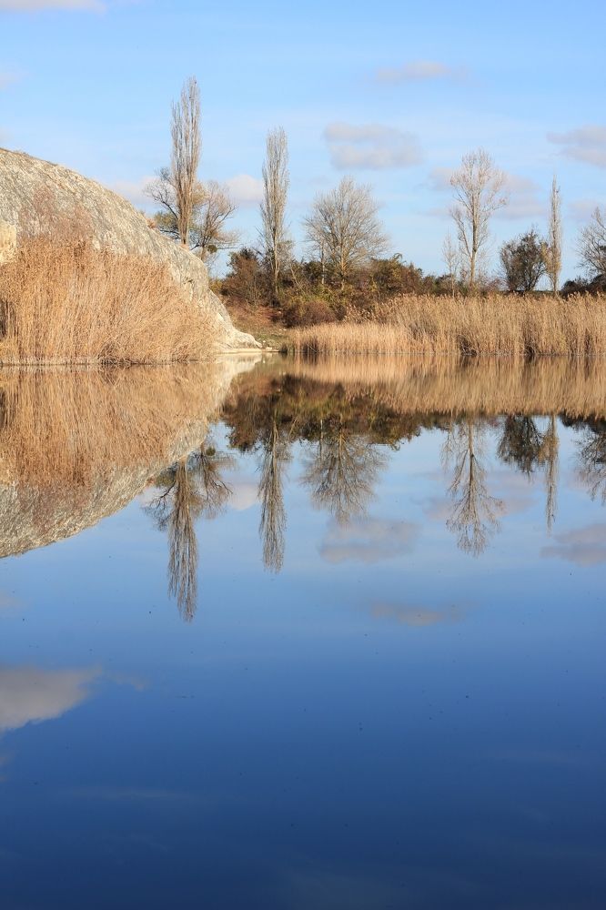 Photograph by Дарья Расшивина