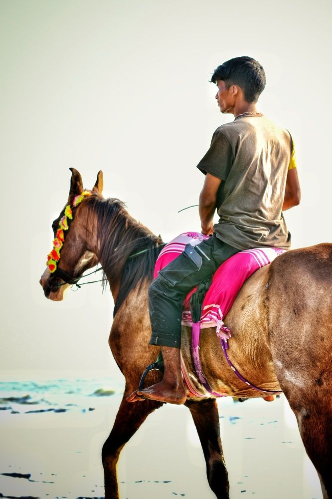 Horse Riders Life
