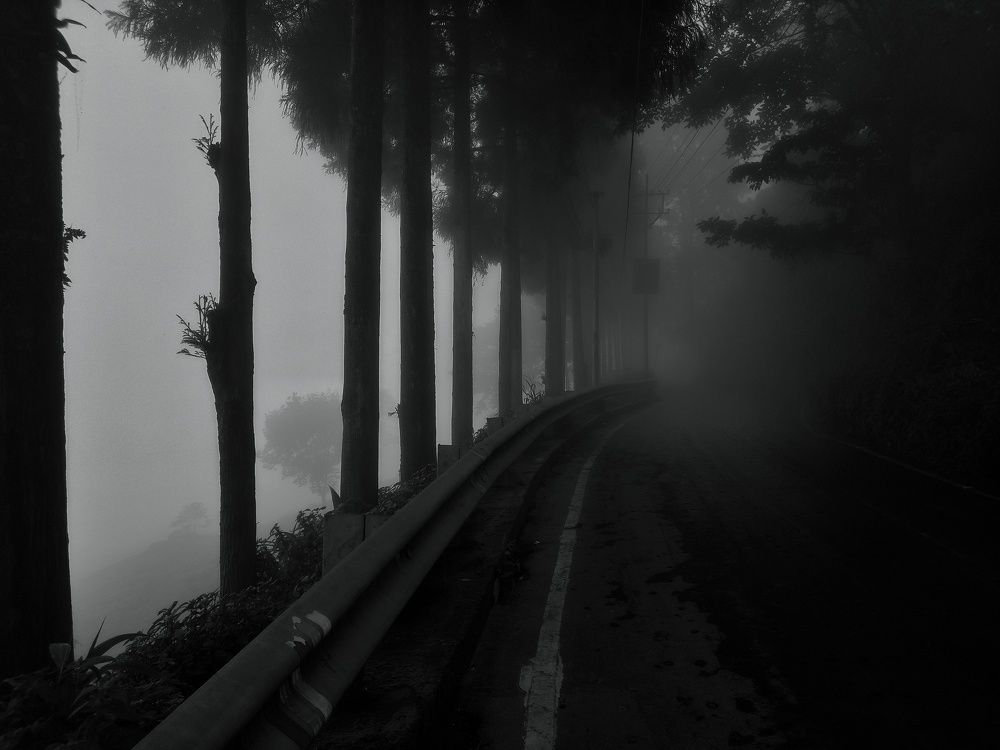 Photograph by Pemba Tshering Tamang