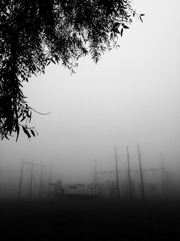 Photo #7706323
