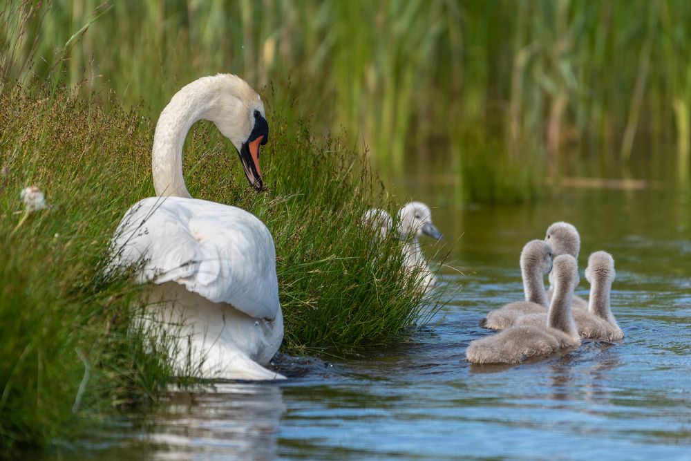 Фотография автора Юрий Макаров