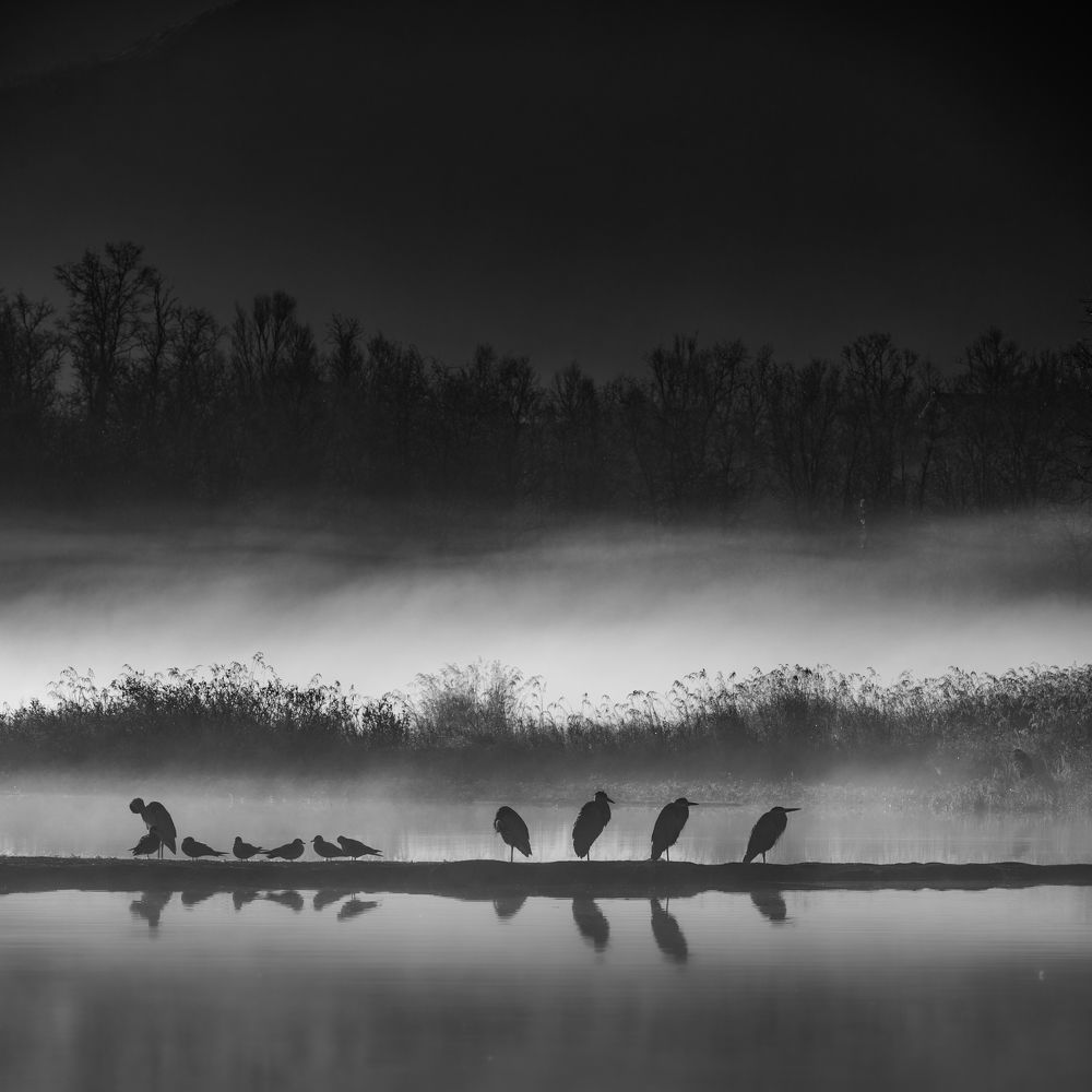 Photograph by Mahmud Tareq Hassan Khan