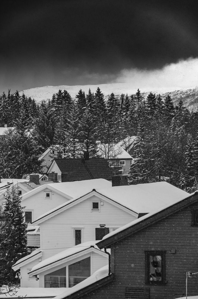 Photograph by Mahmud Tareq Hassan Khan