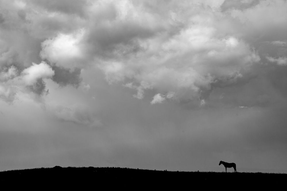 Photograph by Chia Hasankhali