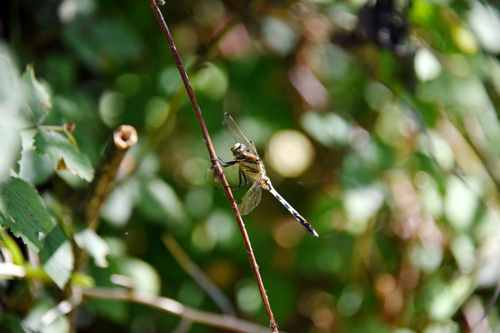Photograph by Anna Zelinskaya