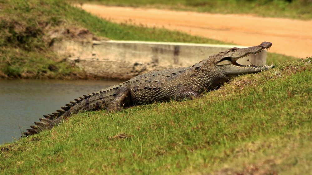 Photograph by Faris Amanullah