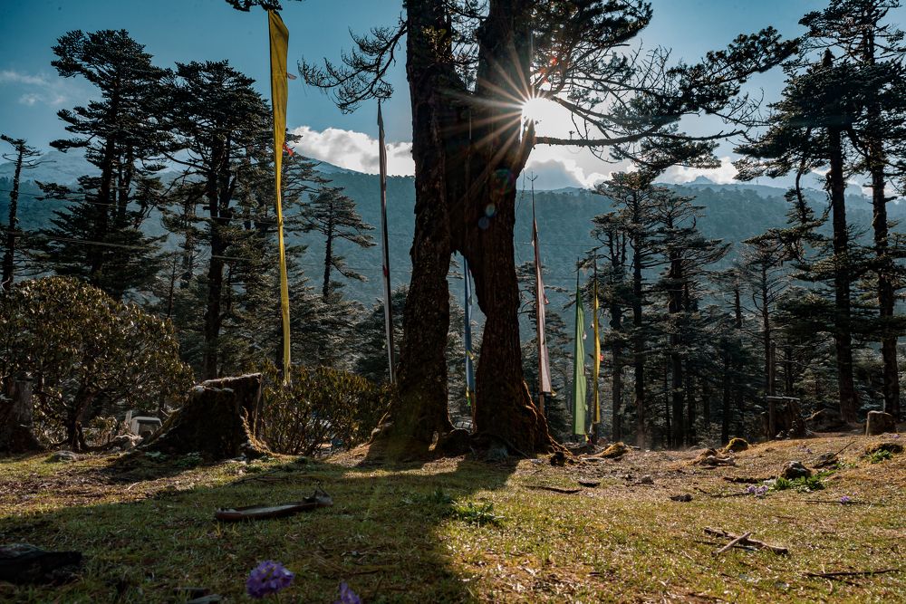 Photograph by Pemba Tshering Tamang