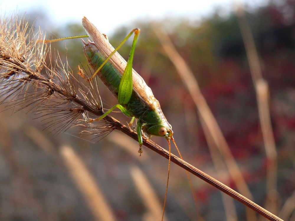 Photograph by Anna Zelinskaya
