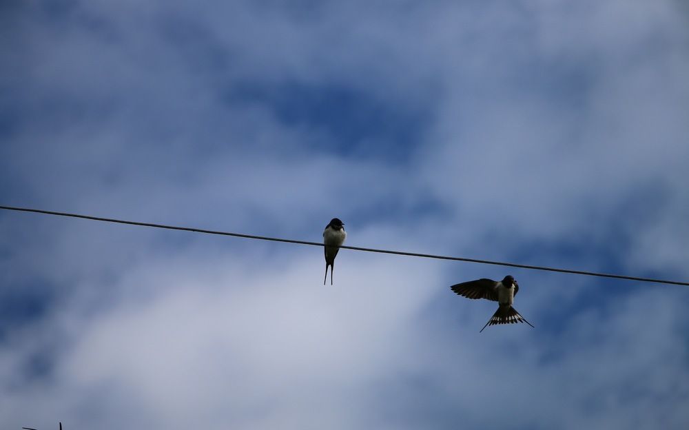 Photograph by Hayk Badalyan