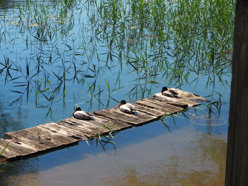 Photograph by Anna Zelinskaya