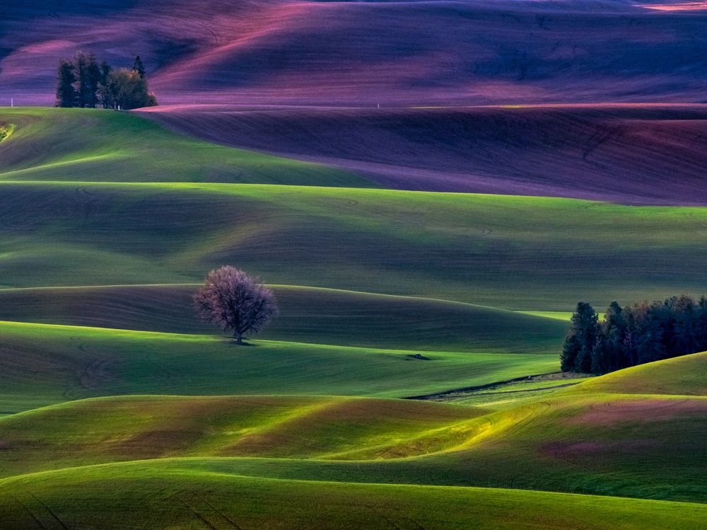 Photograph by Annette Taberner-Miller