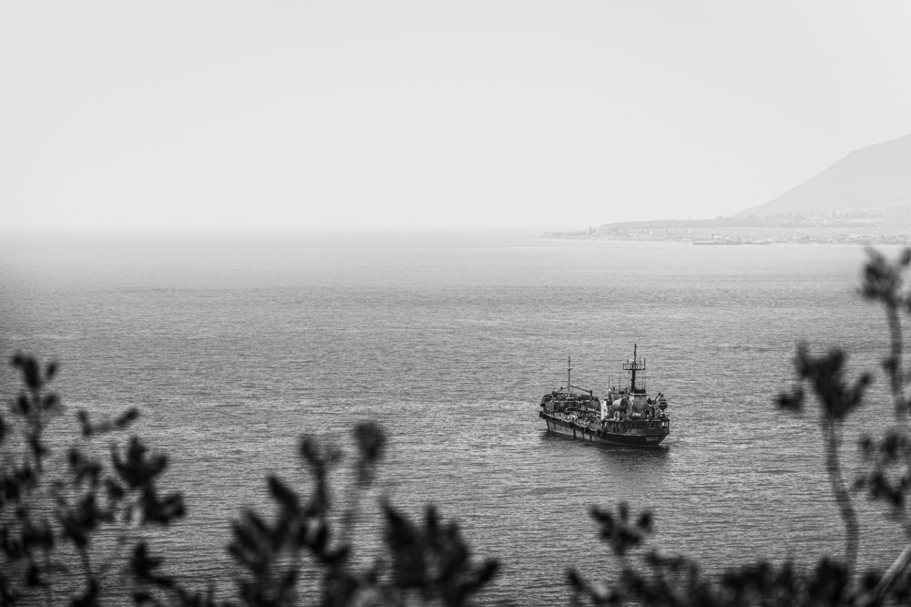 Photograph by Александр Шинкаревский