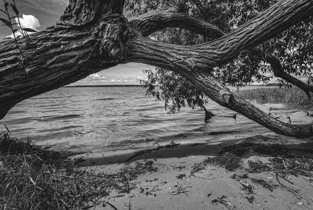 Фотография автора Ангелина