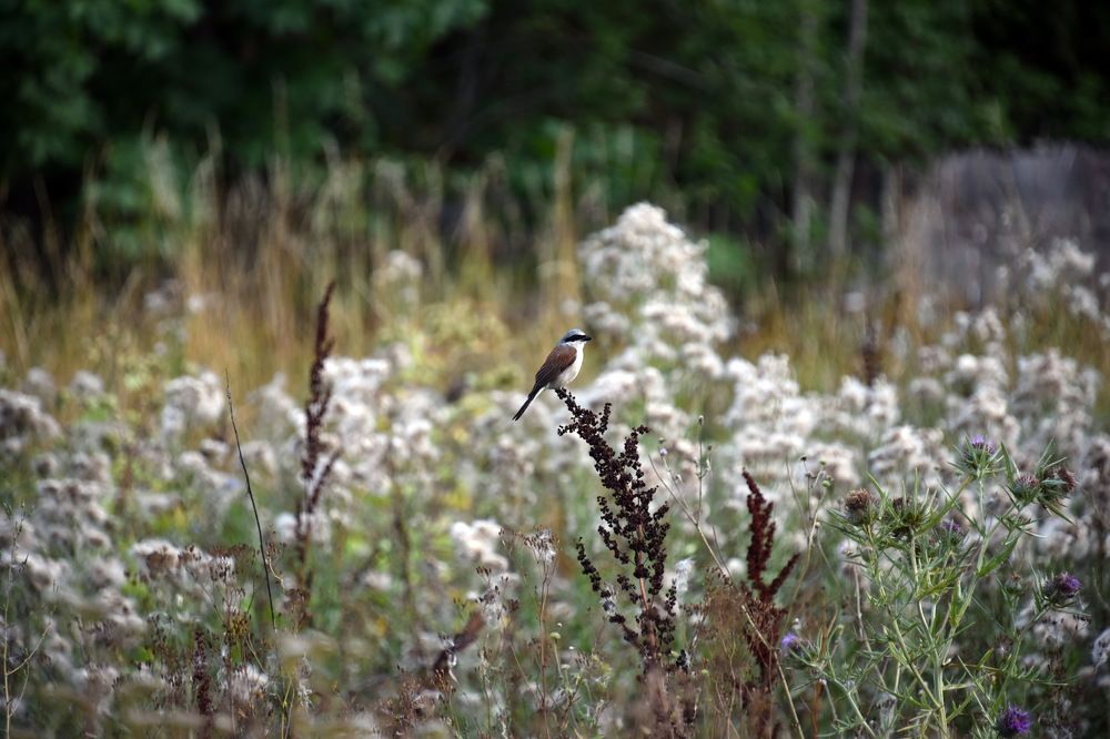Photograph by Anna Zelinskaya
