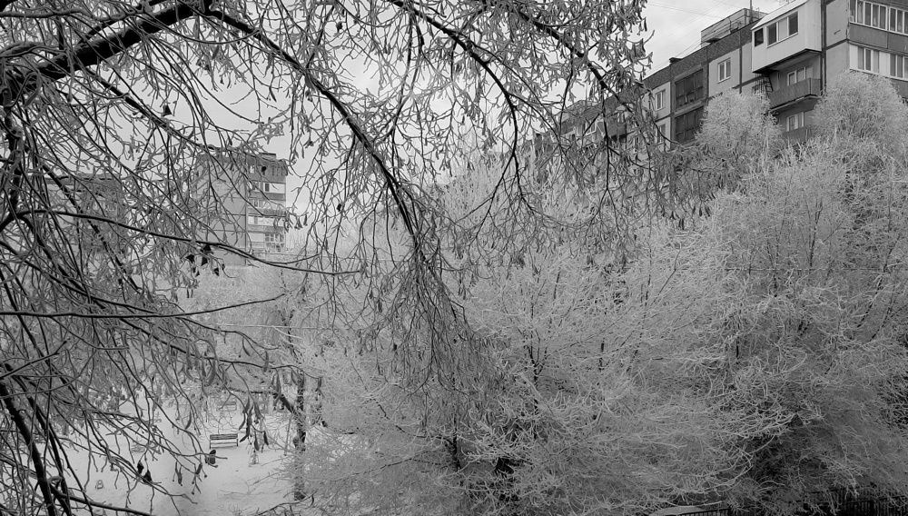 Photograph by Ольга Павлова