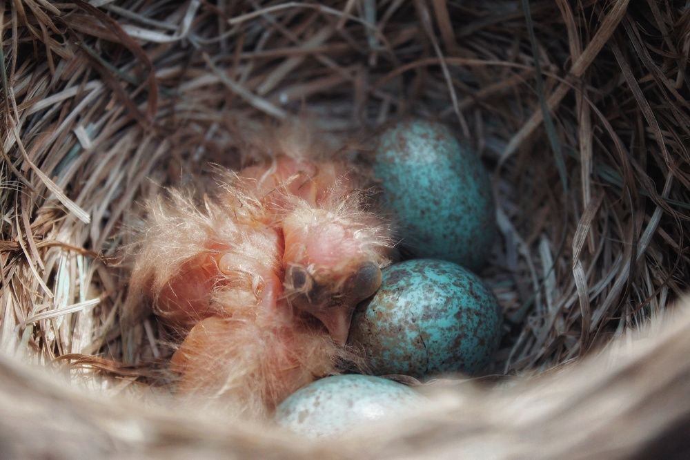 Photograph by Карина Евграшина