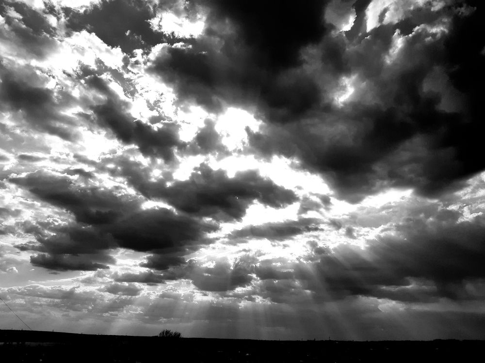 Photograph by Ольга