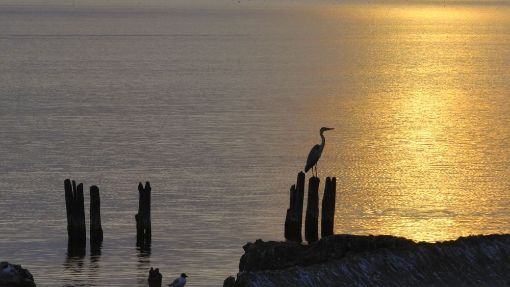 Photograph by Жигульский Сергей