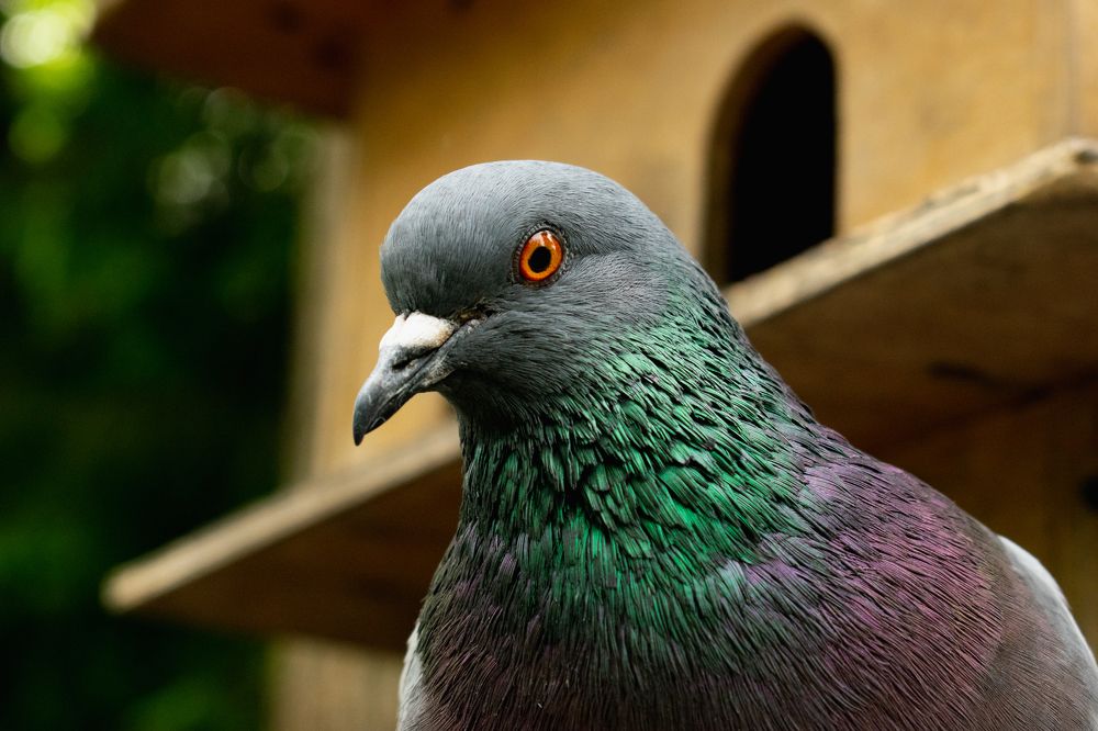 Photograph by Александр Васильев