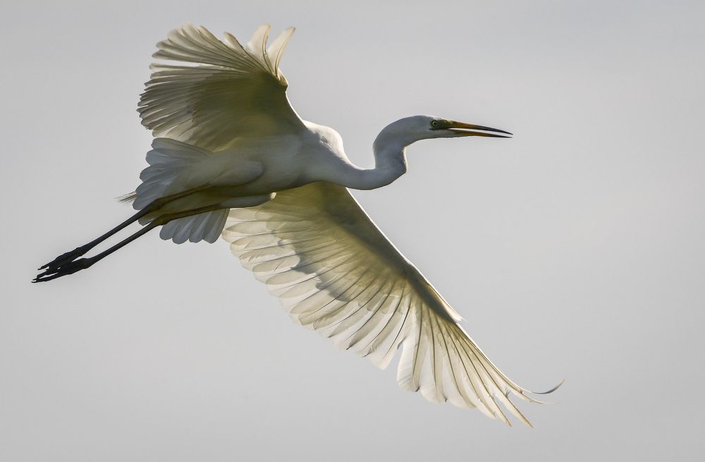 Photograph by Борис Пирог