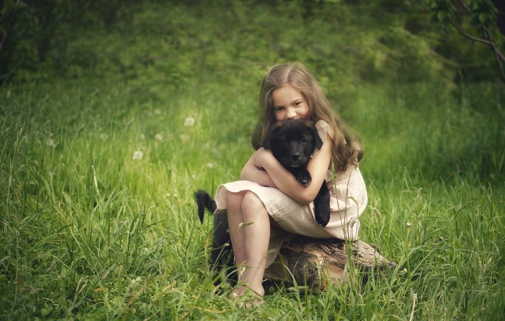 Photo #7706820