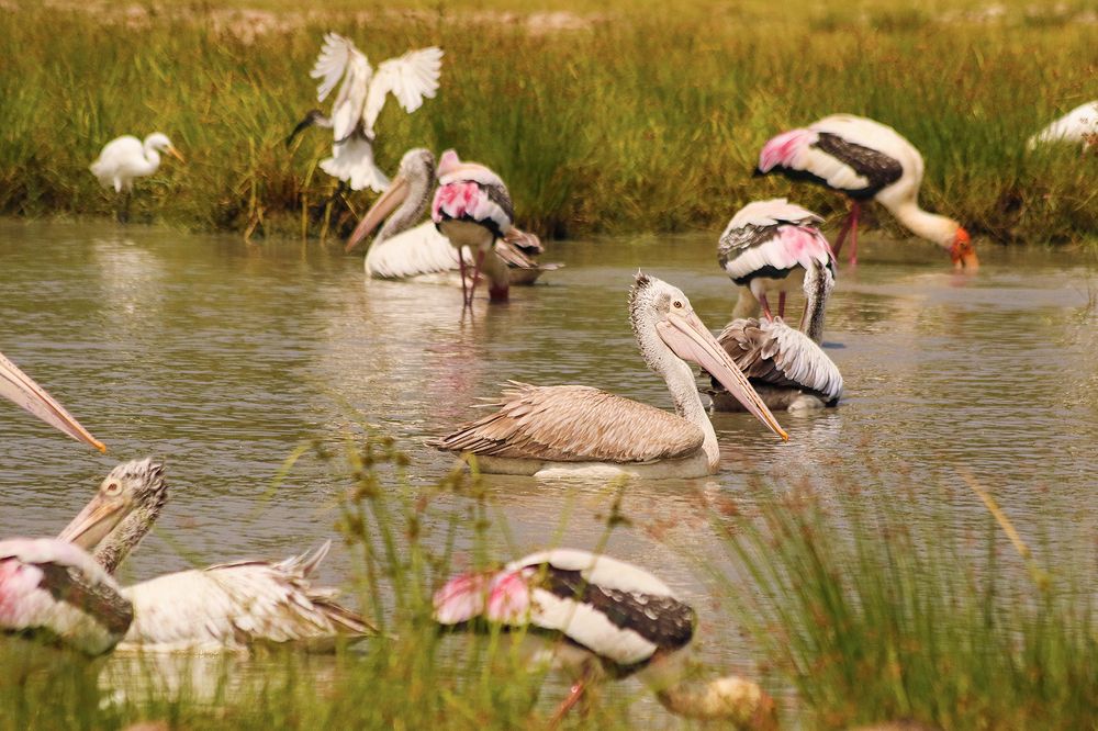 Photograph by Faris Amanullah