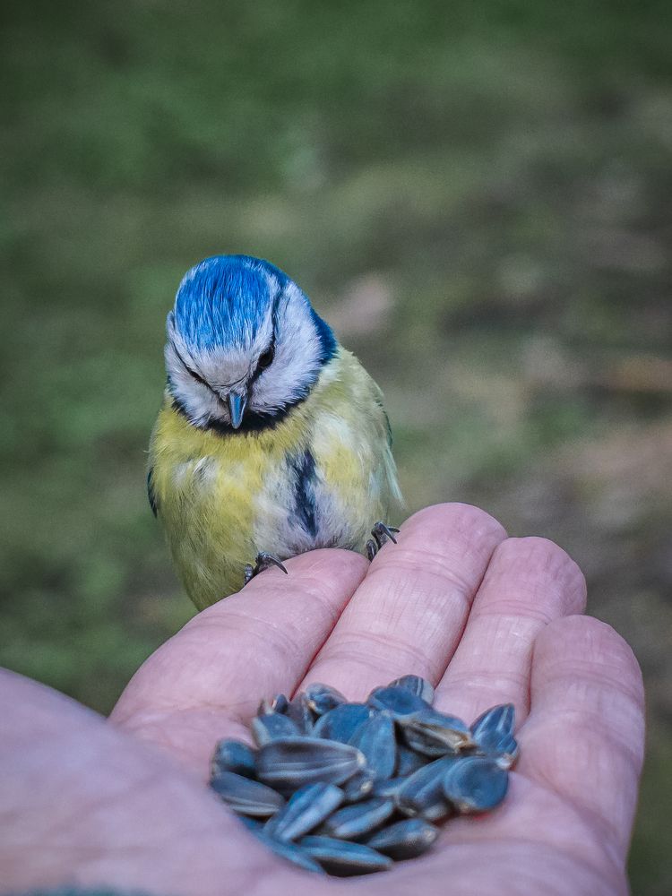 Photograph by Александр Васильев