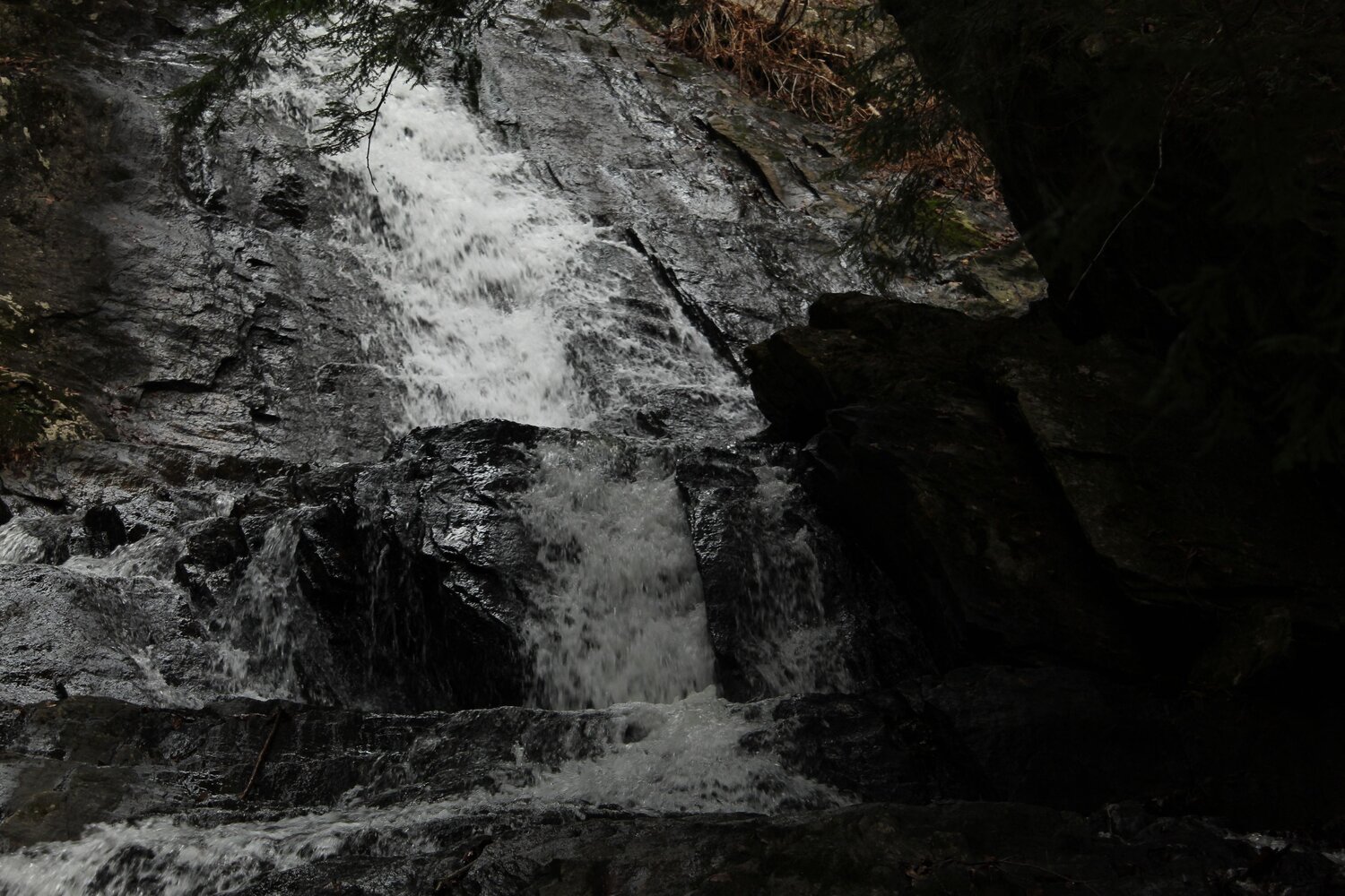 Photo #7706902
