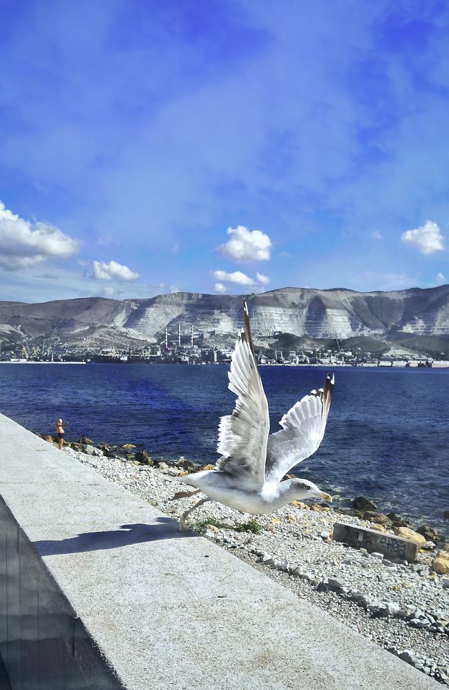 Photograph by Виктория Федосеенко