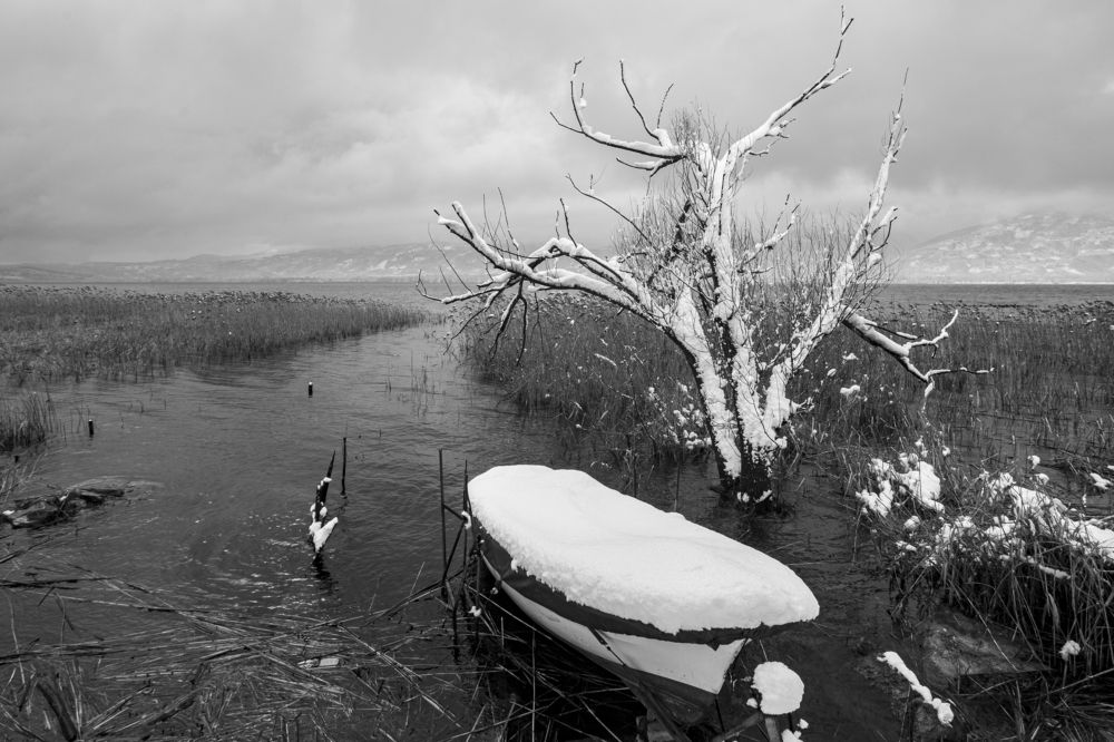 Photograph by çiğdem Sorgut