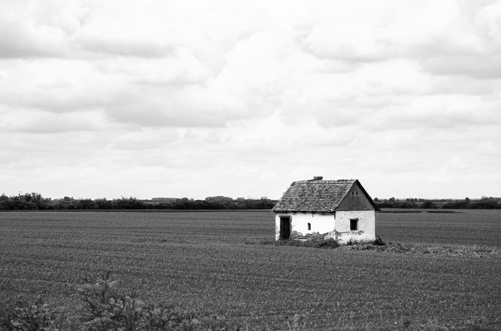 Photograph by Bakir Hadzic