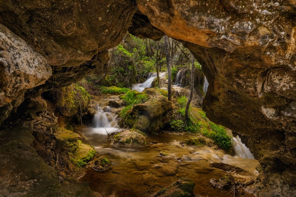 Photograph by Andrej Nihil