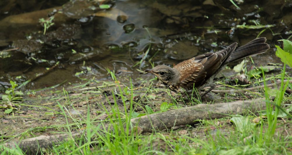 Photograph by Alexandra Chalova