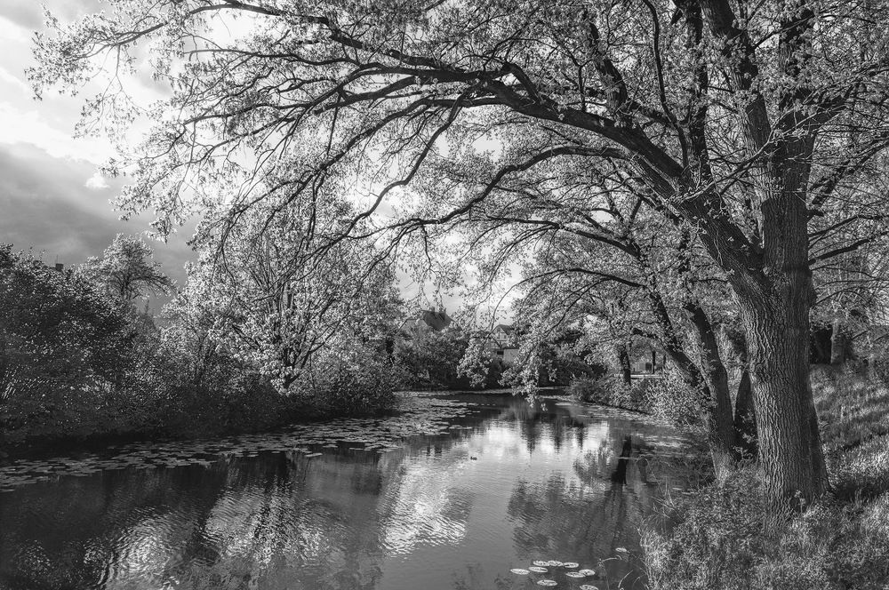 Photograph by Лидия