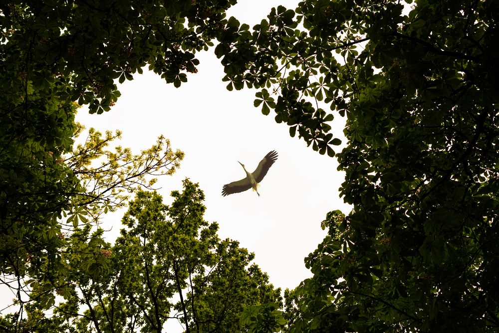 Photograph by Александр Падажецкий