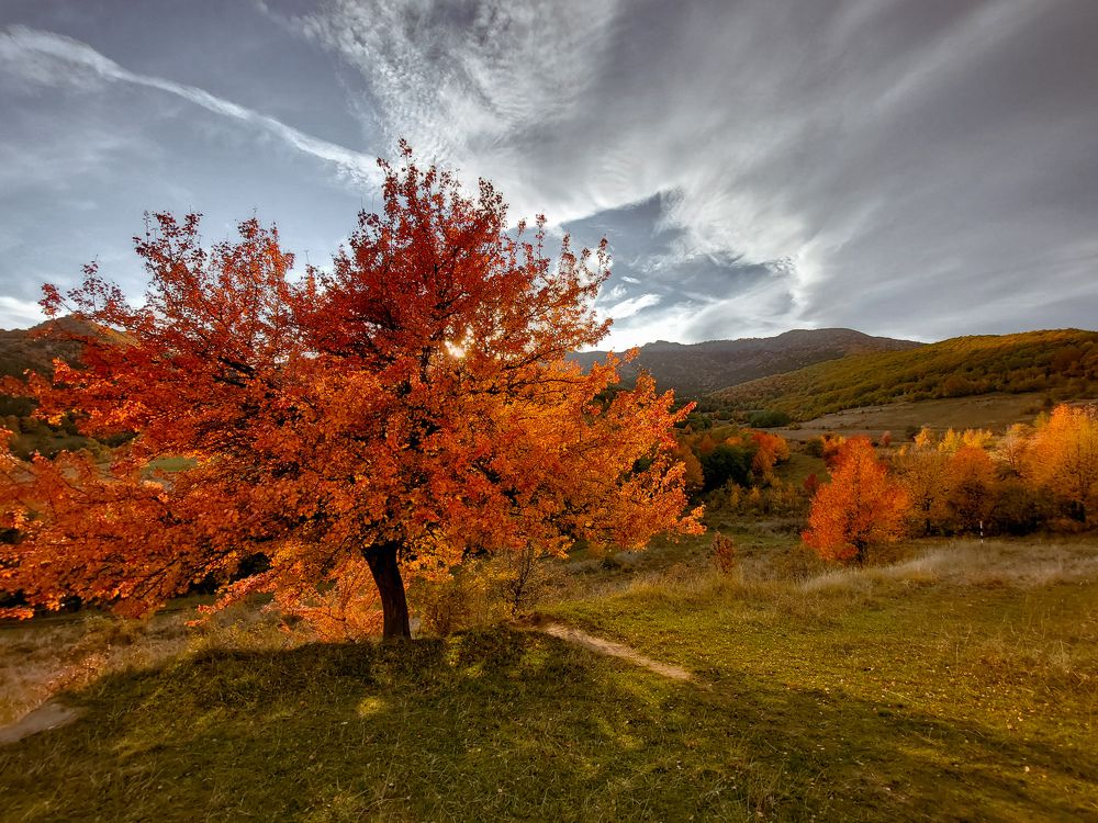 Photograph by Diana-Alexandra Amărinei