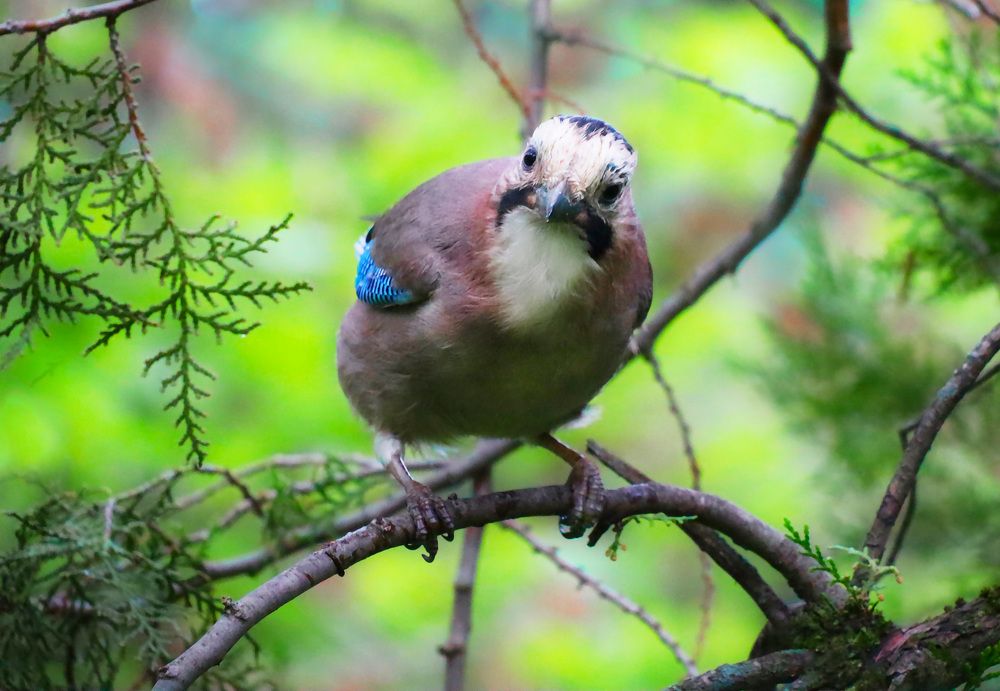 Photograph by Anna Perevozchikova