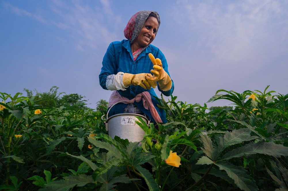 Photograph by Kuntal Biswas