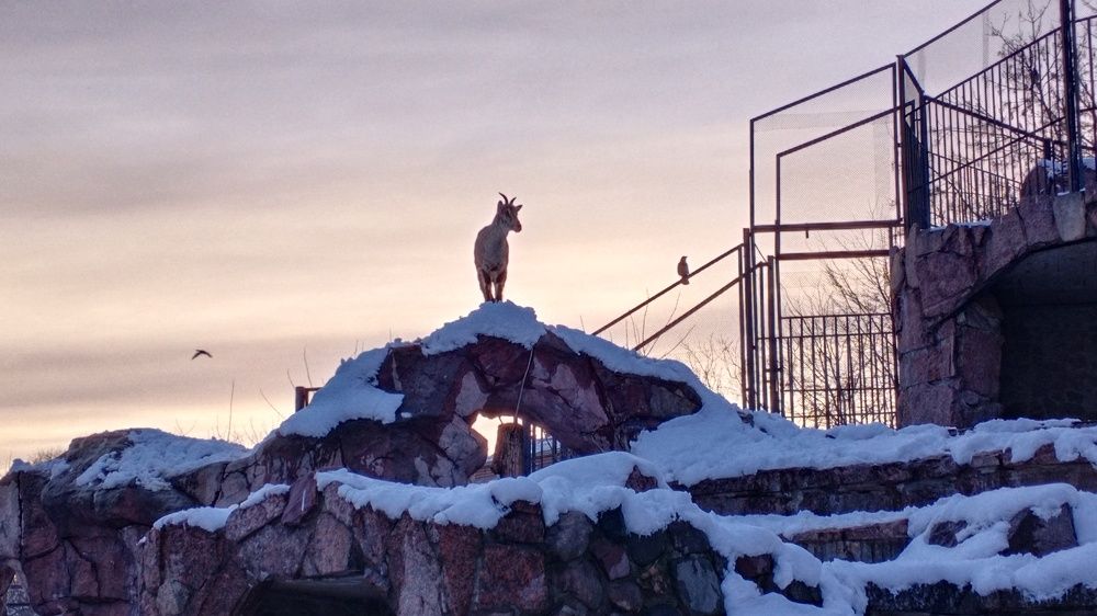 Photo #7707233