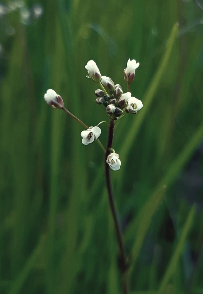 Photograph by Ольга