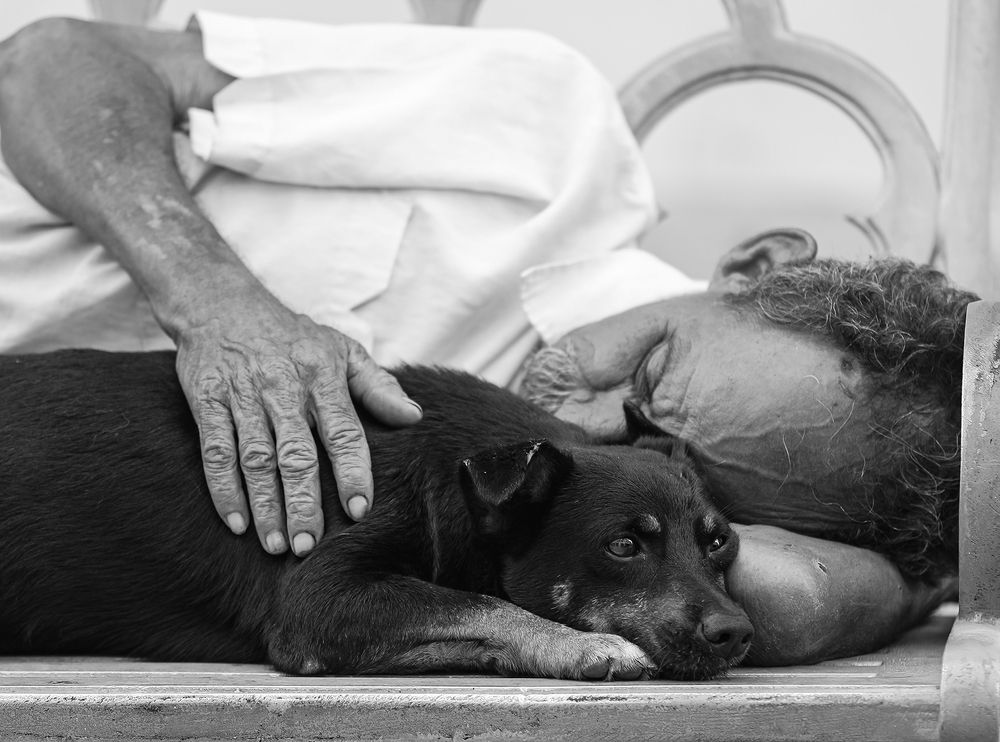 El Guardián de los Sueños