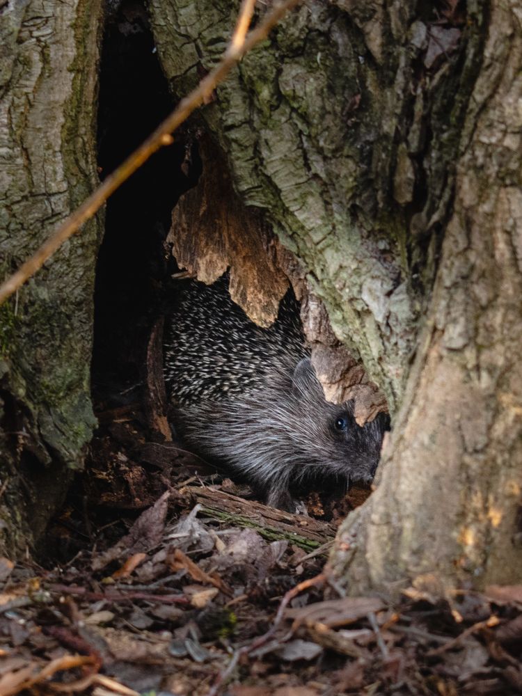 Photograph by Александр Васильев