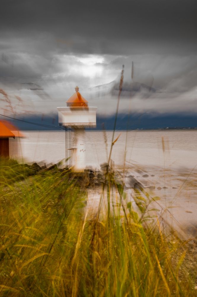 Photograph by Mahmud Tareq Hassan Khan