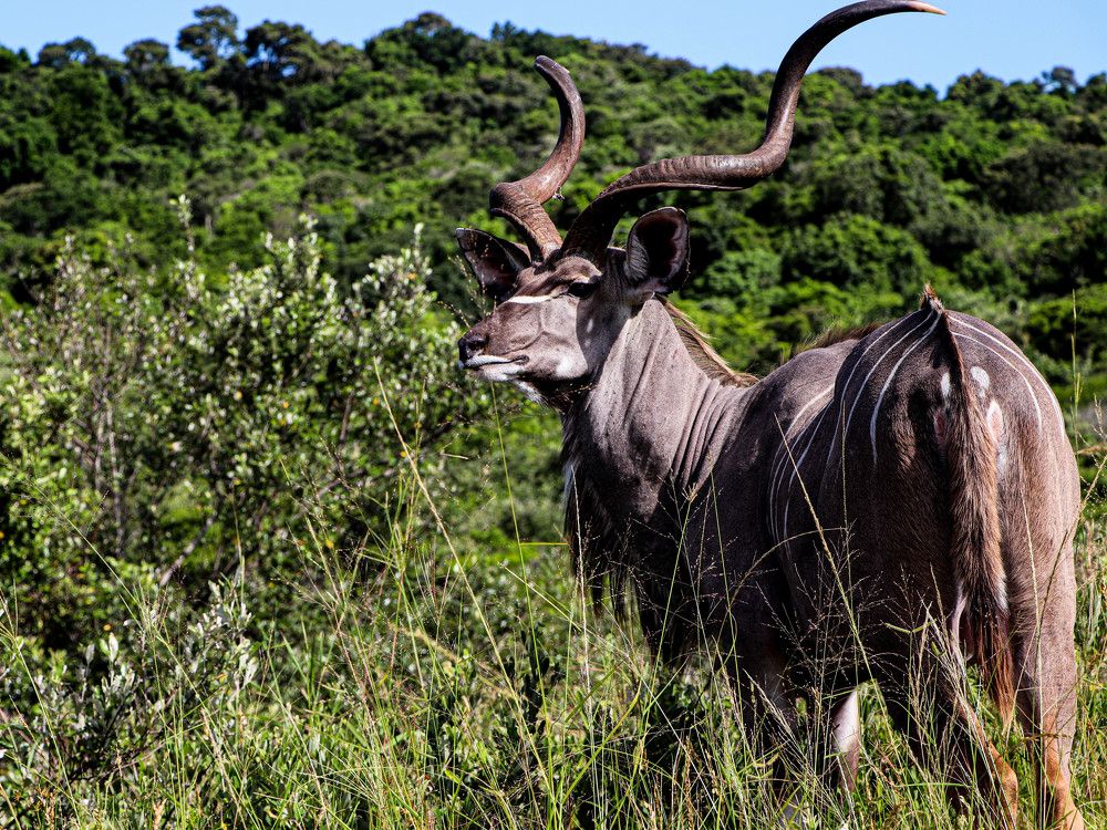 Photograph by Manono Photography