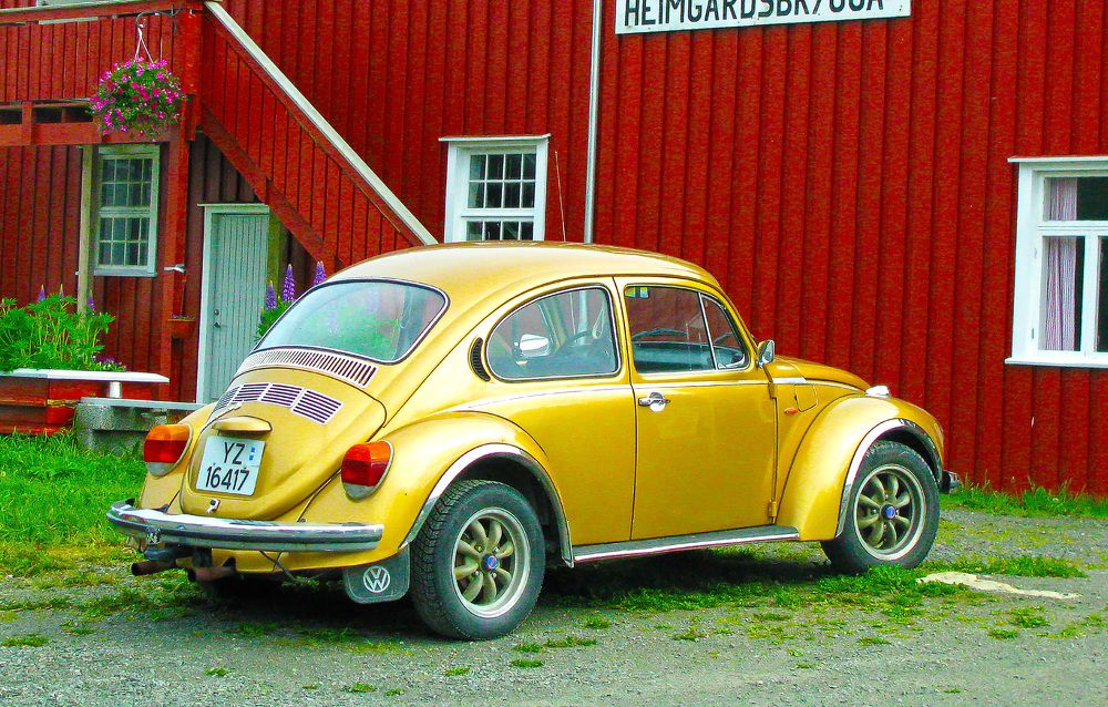 Photograph by Anna Perevozchikova