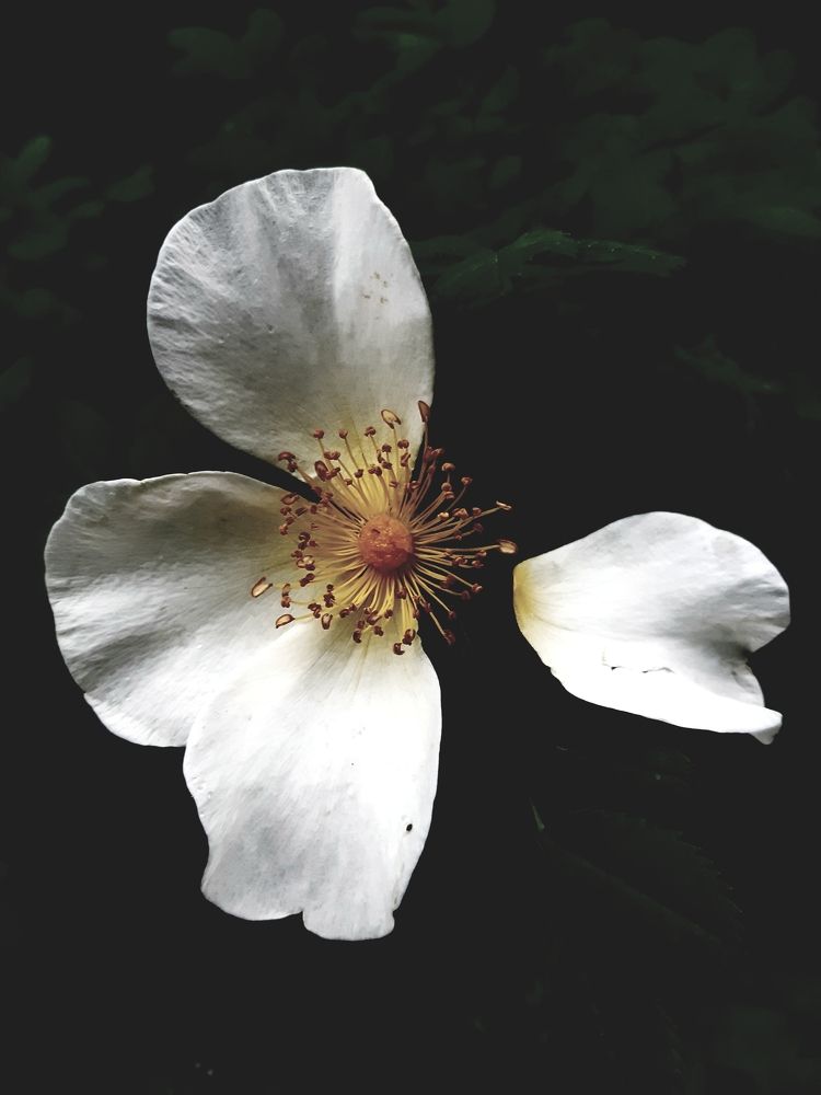 Photograph by Ольга