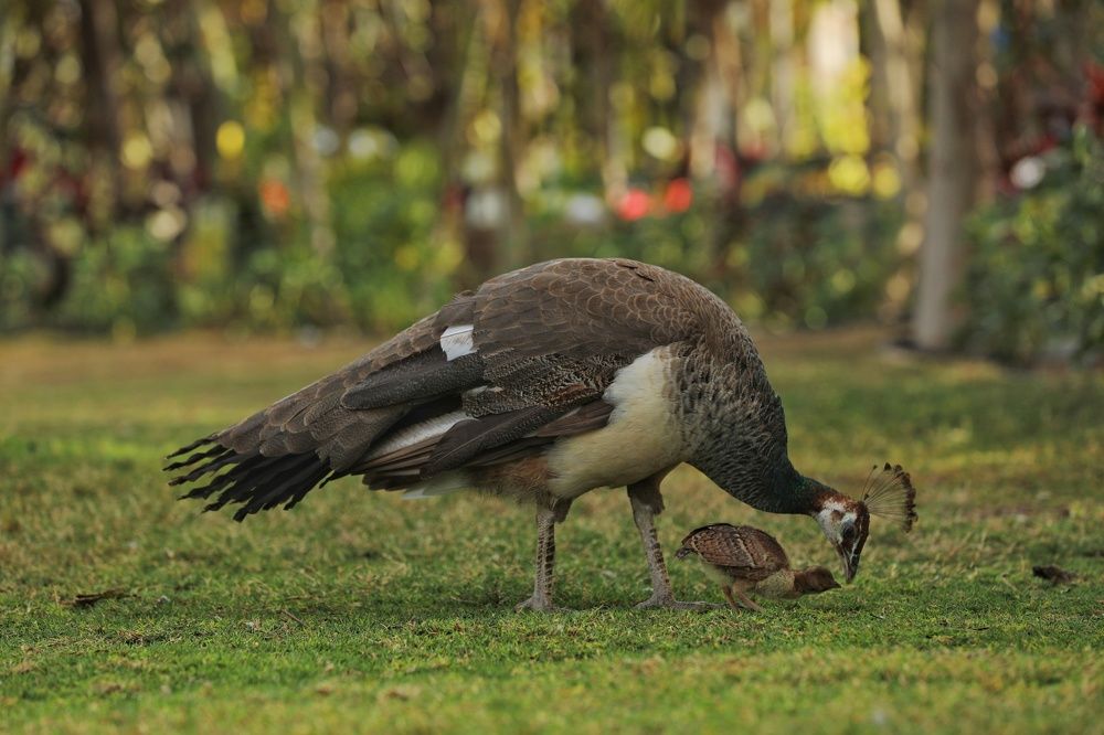 Photograph by Nada Elbatran