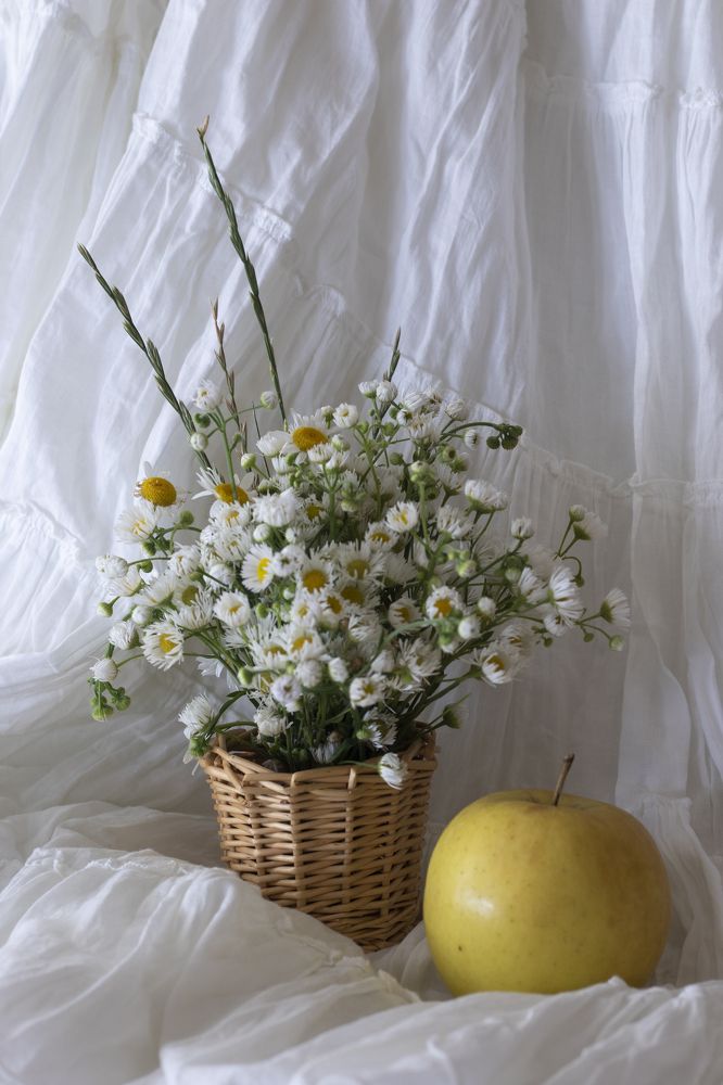 Photograph by Анастасия Трофимовская