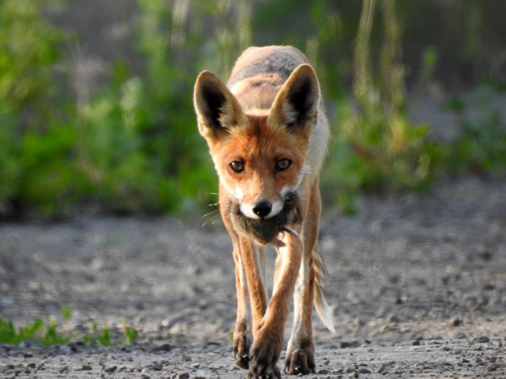 Photograph by Татьяна Калугина